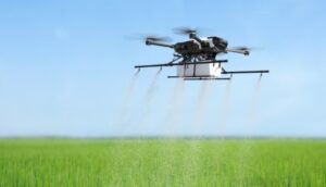 Droga pulverizando fertilizante em plantas verdes de legumes, agrotóxicos no brasil e no mundo redação